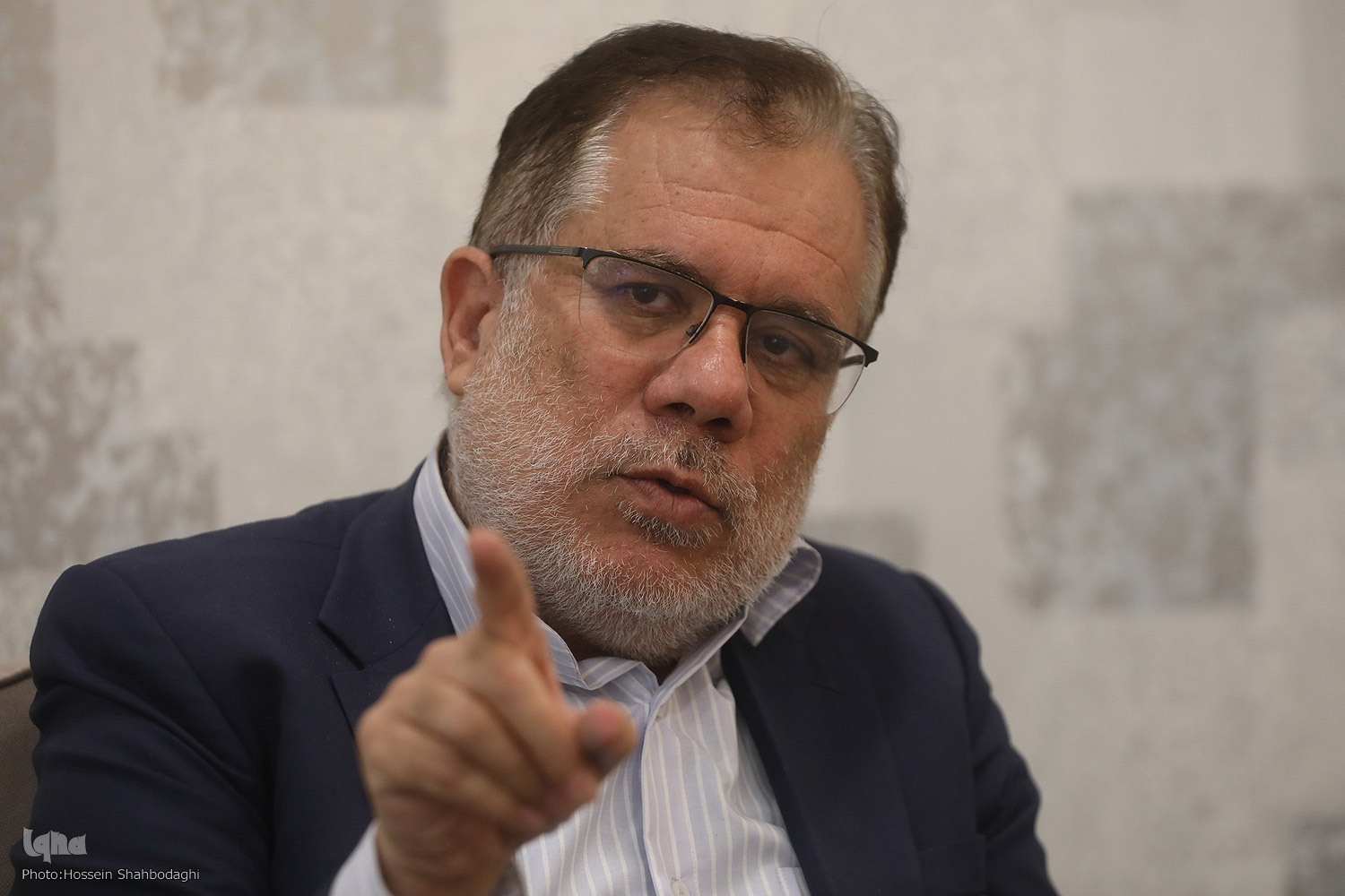 محمود حکمت نیا