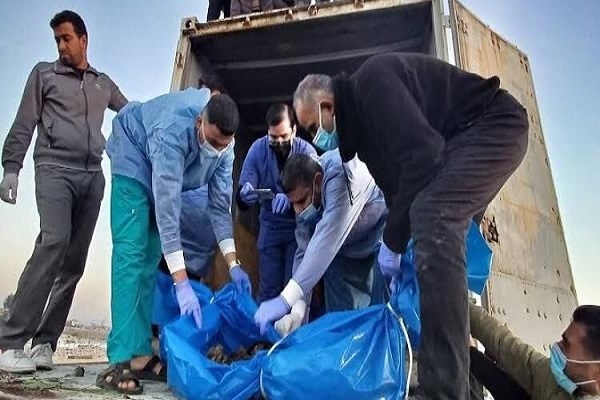 از اذعان رئیس رژیم صهیونیستی برای لزوم تبادل اسیران تا استفاده از سلاح‌های ممنوعه در غزه