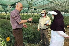 ۷ هزار نفر عضو بسیج جامعه کشاورزی آذربایجان‌غربی هستند