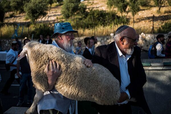 ذبح قربانی گامی خطرناک از سوی صهیونیستها علیه مسجدالاقصی است ذبح قربانی گامی خطرناک از سوی صهیونیستها علیه مسجدالاقصی است