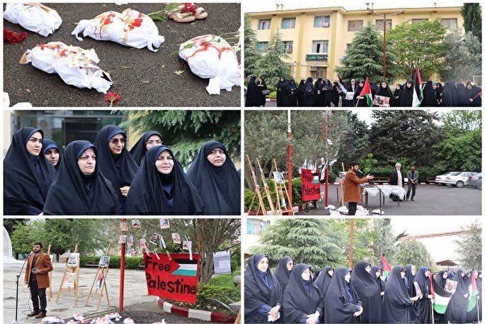 دانشگاهیان مازندرانی در حمایت از مردم غزه تجمع کردند + عکس