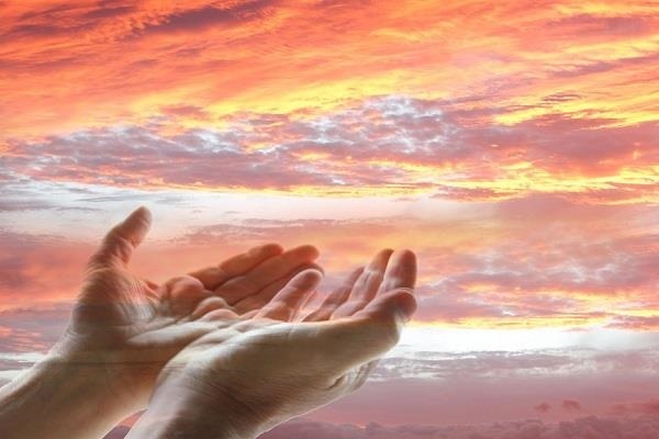 قمار شکر بر سر هستی: چرا شکر، نعمت را پشت سر می‌گذارد