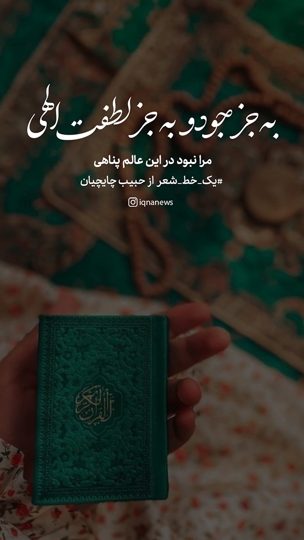 مرا نبود در این عالم پناهی