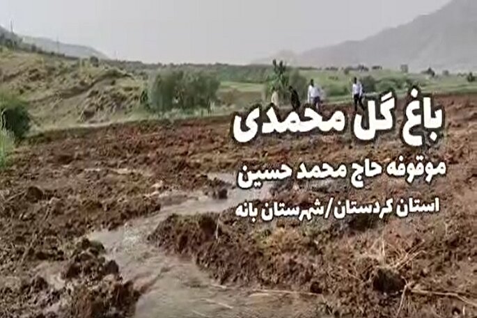 فیلم | شکوفه‌ای از برکت وقف در بانه