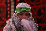 فیلم | مراسم شیرخوارگان حسینی در حرم بانوی کرامت