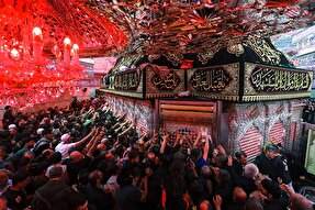 استوری‌موشن | دلی در جستجوی کربلا