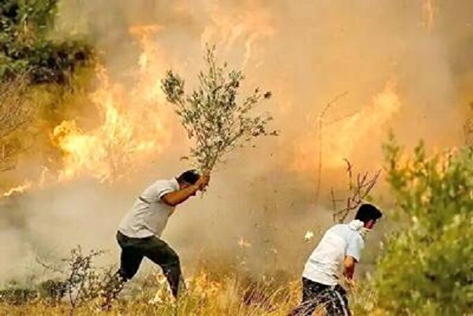 فداکاری در راه حفظ آبیدر؛ الهام‌بخش نسل‌ها