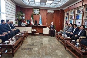 ضرورت مستندسازی جنایات رژیم صهیونیستی برای محکومیت در مجامع بین‌المللی