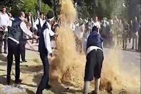 آئین شکرگزاری «جشنِ خرمن» مازندران؛ در آستانه فراموشی