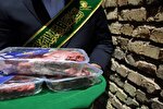 ذبح ۱۵۰۰ رأس دام در طرح نذر قربانی حرم مطهر بانوی کرامت
