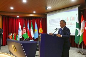 زنجان می‌تواند به الگویی از توسعه همگرایی اقتصادی در منطقه اکو تبدیل شود