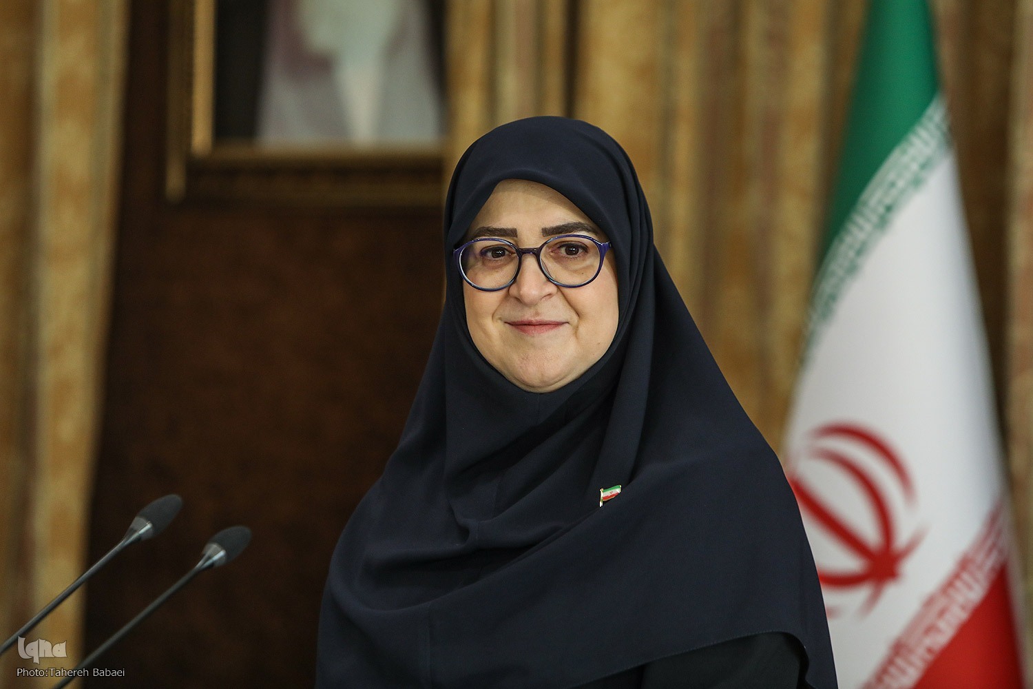 فاطمه مهاجرانی، سخنگوی دولت