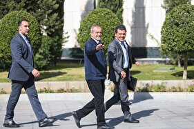 حاشیه جلسه هیئت دولت