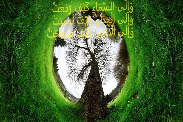 مهمترین اخبار اجتماعی در هفته پایانی مهرماه