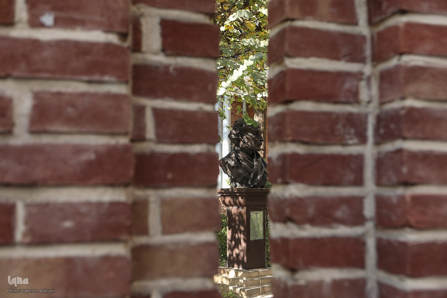 نیما، نیما،