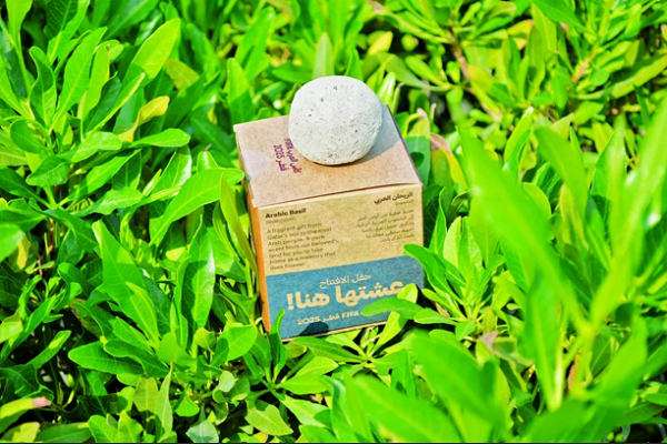 ابتکار بوستان قرآنی قطر برای جام ملت‌های عرب