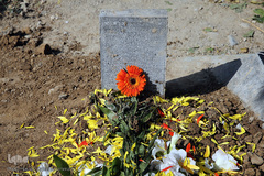 مزار معلم قرآن مرحوم «محمد تقی مروت» در قطعه نام آوران بهشت زهرا