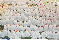 جشن تکلیف دانش آموزان دختر 