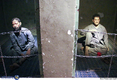 آزادی رایگان نیست