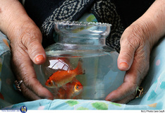 مادران فراموش شده