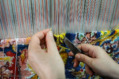 سیده ناهید حسینی کارآفرین