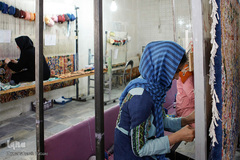 سیده ناهید حسینی کارآفرین