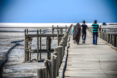 خشکسالی در بندر شرفخانه 