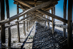 خشکسالی در بندر شرفخانه 