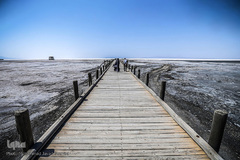 خشکسالی در بندر شرفخانه 