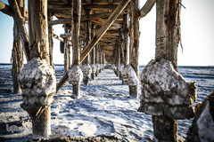 خشکسالی در بندر شرفخانه 