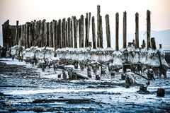 خشکسالی در بندر شرفخانه 