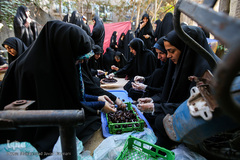 سه شنبه های مهدوی 