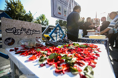 سه شنبه های مهدوی 