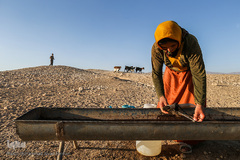 زنان عشایر همانند مردانشان برای ادامیه زندگی میکوشند