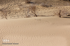 کویر مرنجاب