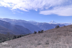 جنگل الیمستان