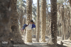 تالابی بدون آب