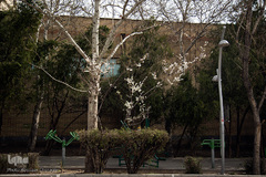 بهار، جلوه گاه پروردگار