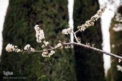 بهار، جلوه گاه پروردگار