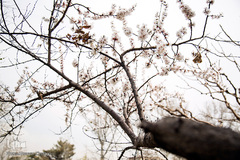 بهار، جلوه گاه پروردگار