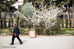 بهار، جلوه گاه پروردگار