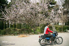 بهار، جلوه گاه پروردگار