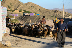 منطقه ثلاث باباجانی غرب کرمانشاه ۱