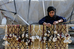 منطقه ثلاث باباجانی غرب کرمانشاه ۱