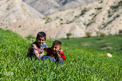 منطقه ثلاث باباجانی غرب کرمانشاه ۱