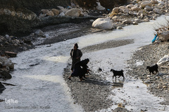 منطقه ثلاث باباجانی غرب کرمانشاه ۲