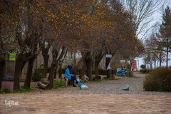 دهکده و مسجد چوبی در نیشابور