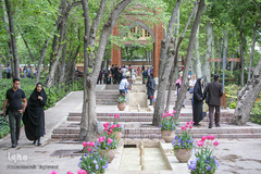 رویش در باغ ایرانی