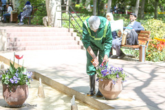 رویش در باغ ایرانی