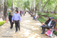 رویش در باغ ایرانی